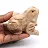 Geschnitzter Frosch aus Speckstein aus Bolivien
